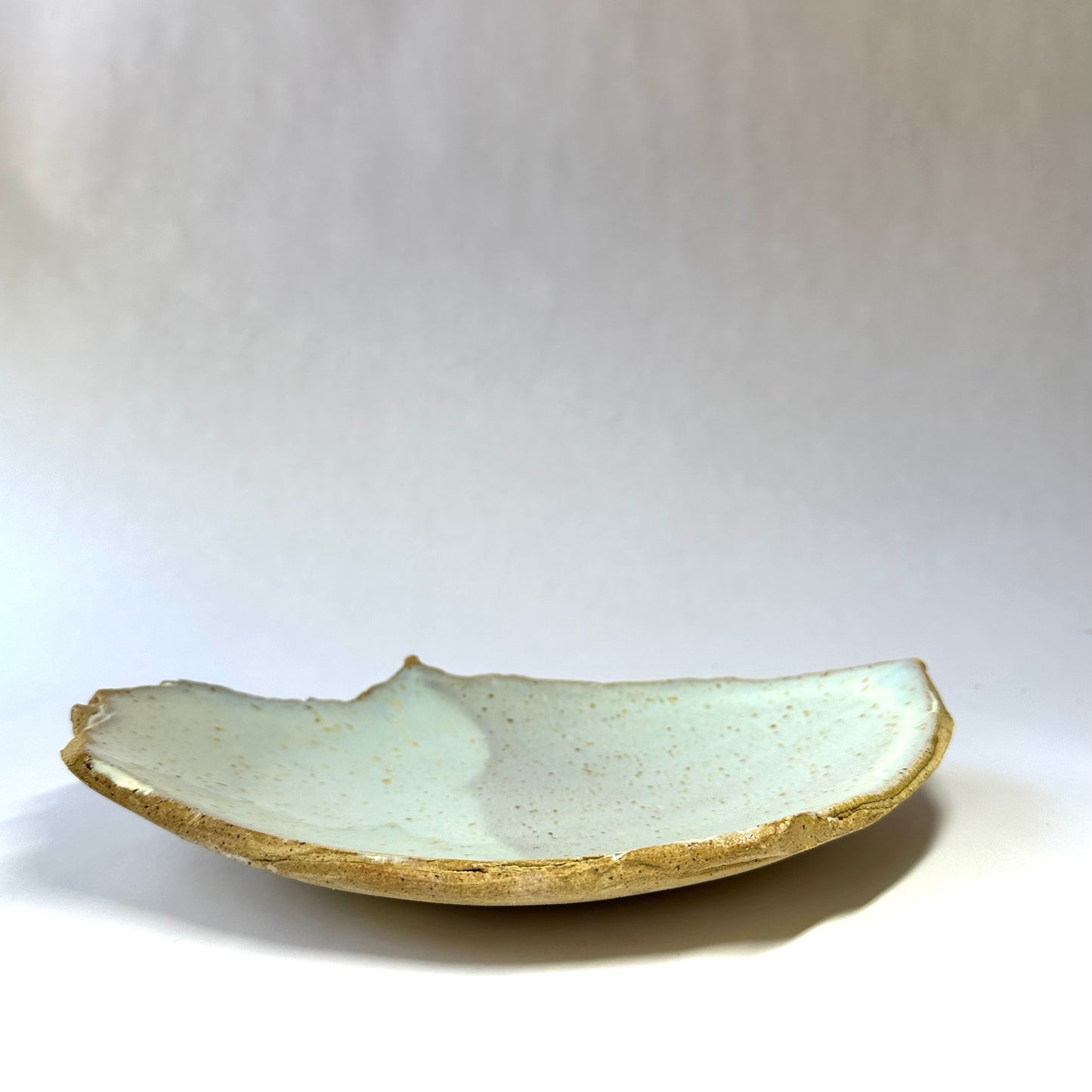 "Live Edge" Shallow Bowl/Plate 1